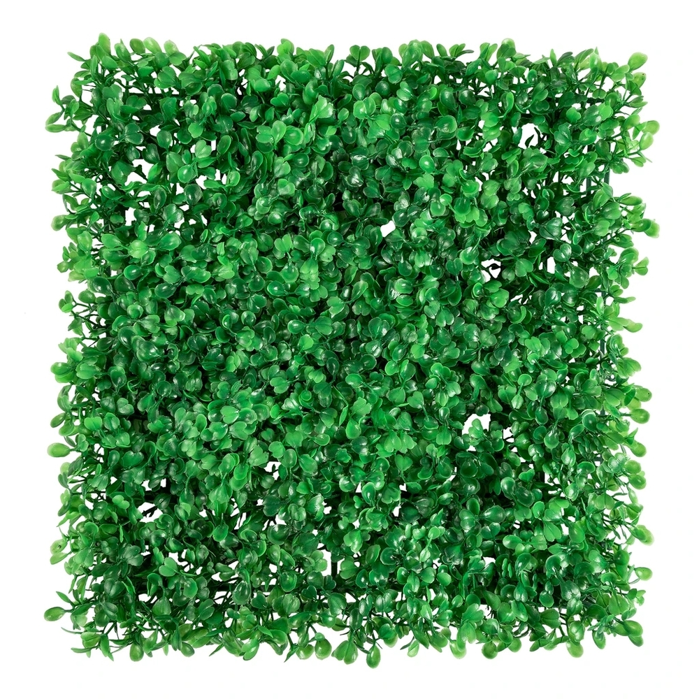 12x12 boxwood